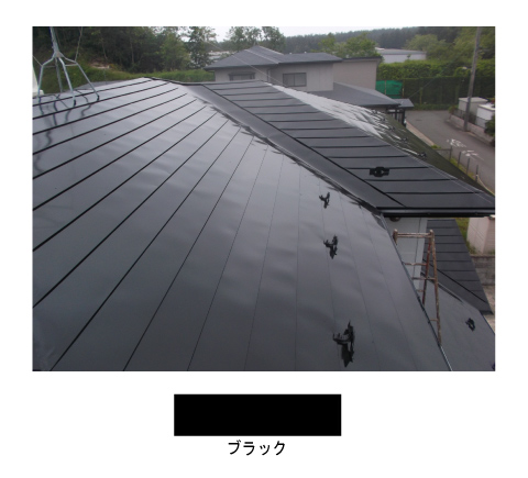 roof_black